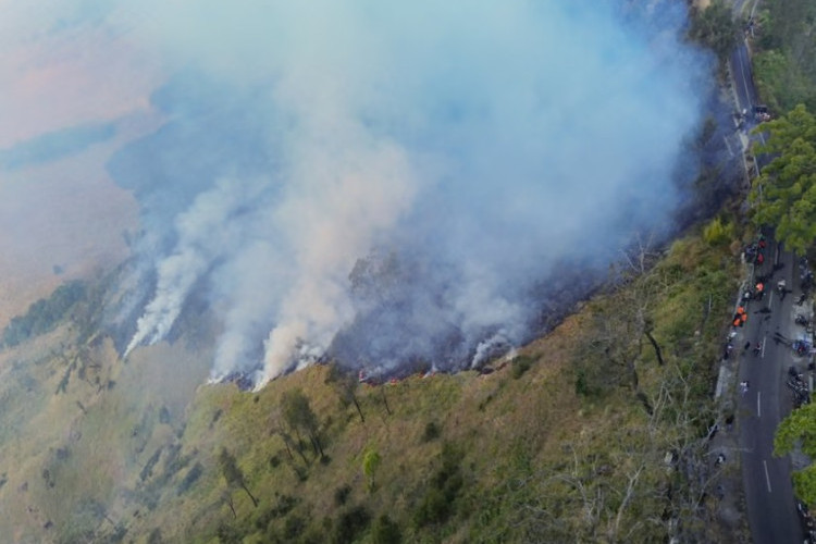 Karhutla Gunung Bromo Belum Padam Total, 4 Relawan Gugur Saat Bertugas