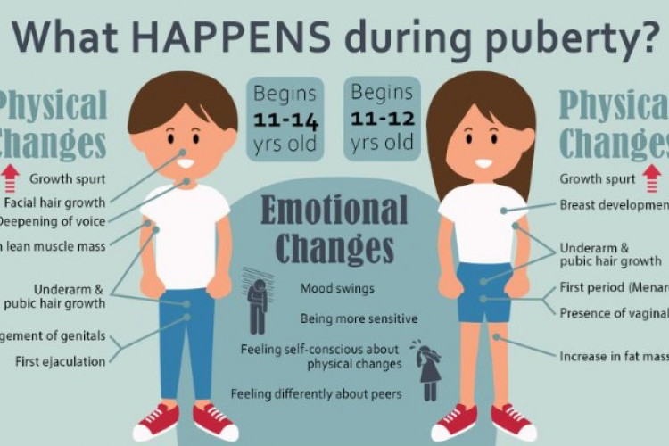 Kumpulan Contoh Poster Pubertas Untuk Remaja, Perubahan Fisik Yang dan Ciri Lain yang Perlu Diketahui!