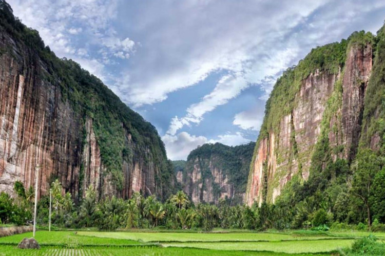 Viral! Lembah Harau Sumatera Disebut Mirip Desa di Konoha, Mulai Tebing Hingga Pemandangannya