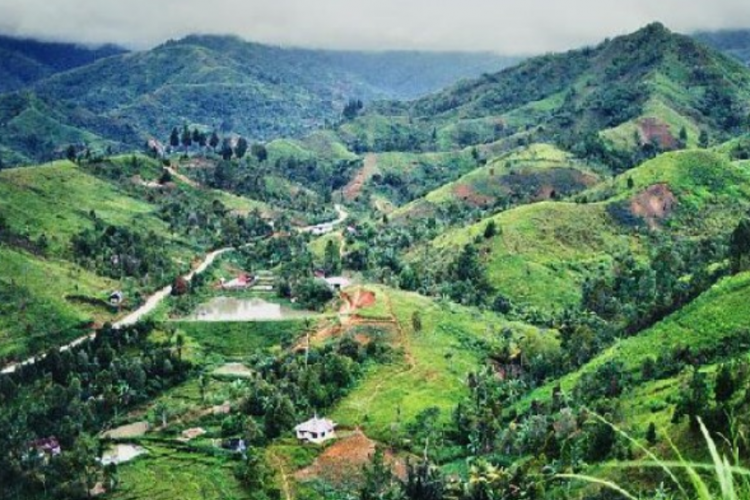 Tenaga Endogen Pembentuk Bukit Barisan di Pulau Sumatera, Ini Dia Prosesnya!