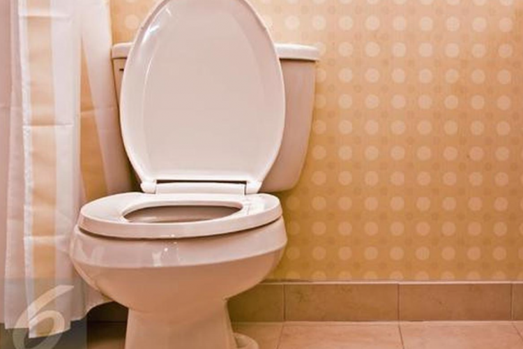 Daftar Pilihan Merk Closet Duduk yang Bisa Jadi Rekomendasi Toilet Rumah