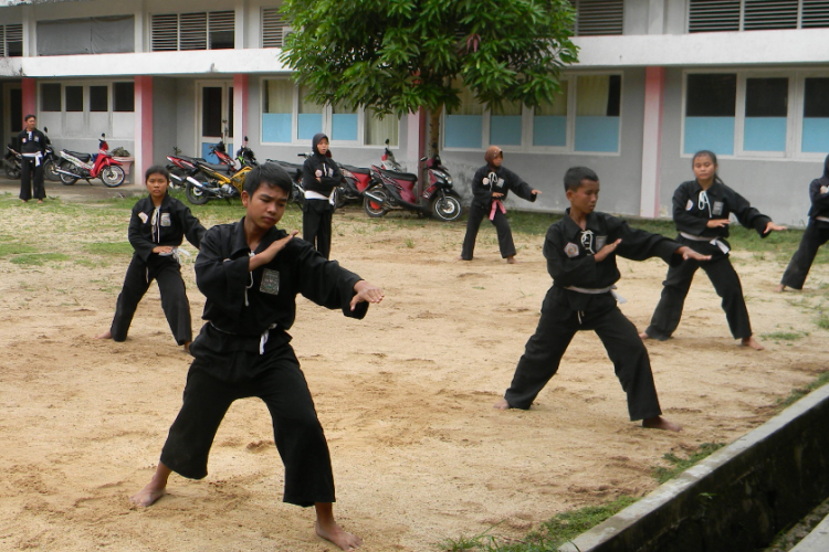 Kumpulan Mentahan Latihan PSHT Siang, Untuk Foto dan Video Percontohan Para Siswa Baru