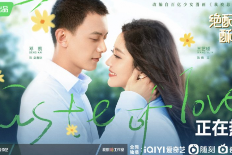 Link Nonton Drama China Taste of Love (2023) Full Episode 1-24 Sub Indo GRATIS, Kisah Cinta Artis dan Anti Fansnya