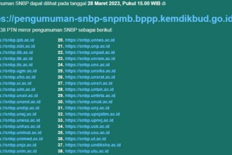 Link Website Pengumuman Hasil SNBP 2023 Lengkap Semua PTN, Berikut Cara Cek Resmi di Kemendikbud