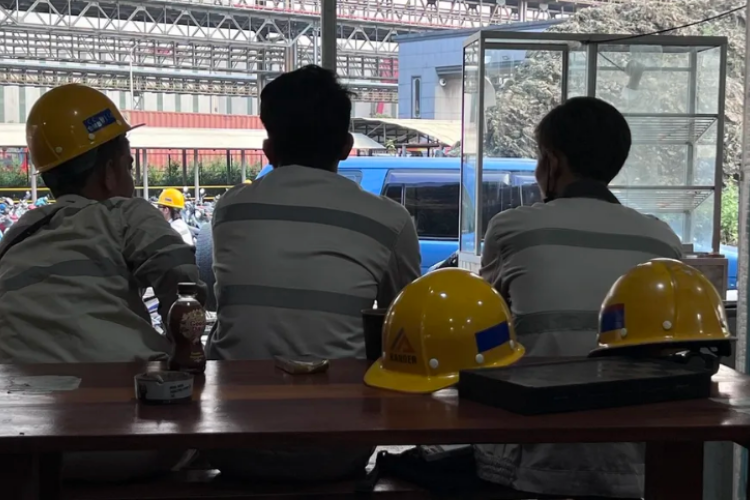Video Viral Para Pekerja Tambang di Morowali Hebohkan Netizen Usai di Hadang Pocicak Sampai Bikin Penasaran