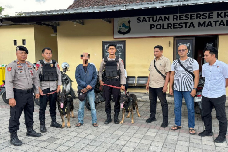 Sadis! Video Penganiayaan Hewan di Mataram Viral, Warganet Kecam Aksi Pelaku