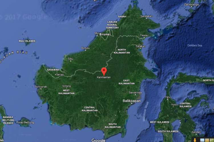 Batas-Batas Daratan Pulau Kalimantan Adalah? Berikut Jawabannya!