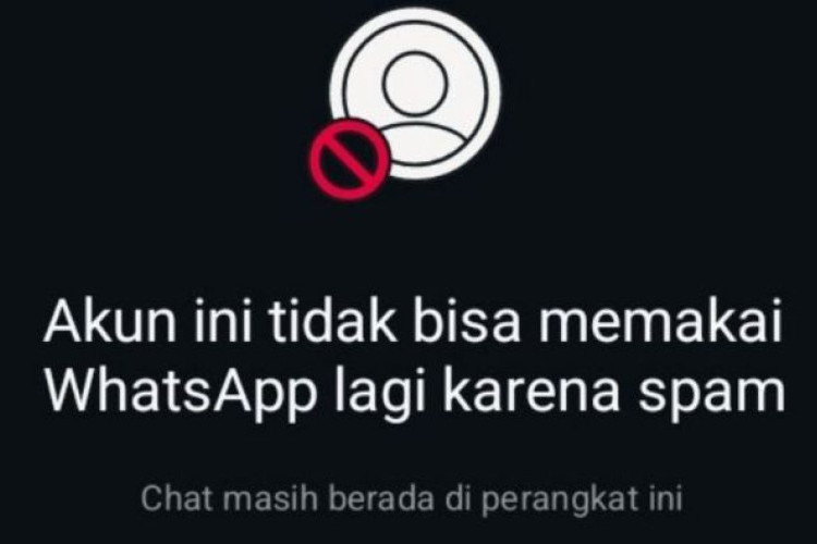 Viral WhatsApp Pengguna Indonesia Diserbu Spam Nomor Brasil (+55) Ramai di Thread, Ini Penyebab dan Cara Mencegahnya!