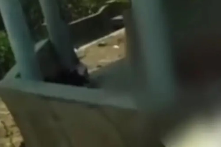 Video Viral Pasangan Wikwik di Kuburan China Banyuwangi Saat Siang Bolong 43 Detik Full No Cut 