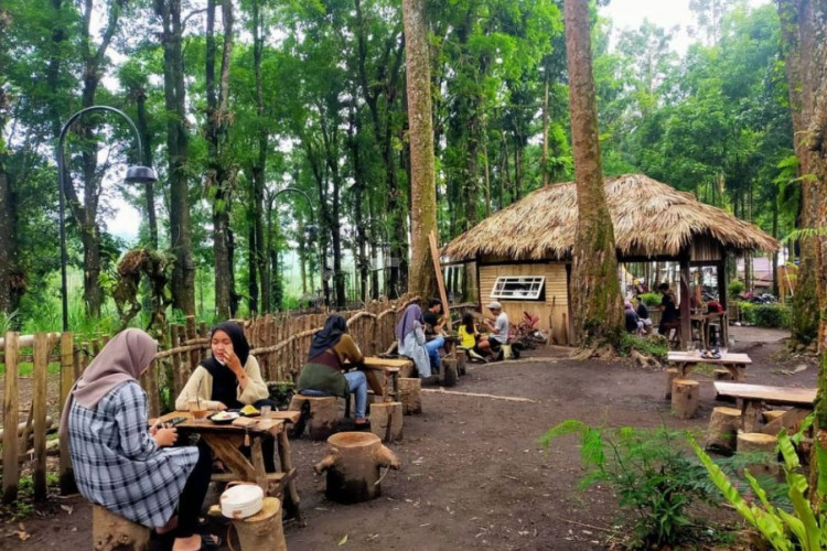 Tempat Nongkrong di Lumajang Paling Keren, Hadirkan Suasana Alam dengan Pemandangan Menawan 