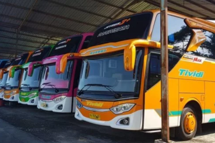 Rekomendasi Bus & Travel Semarang Purworejo PP, Lihat Jadwal dan Harga Tiketnya Terbaru 2023 Disini!