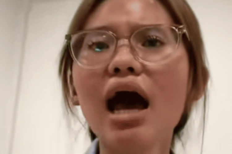 Apa Itu Babyzilla? Jadi FYP Viral TikTok Tampilkan Wanita Histeris Marahi Bayi Tetangga, Netizen: Marketing yang Gagal Total!