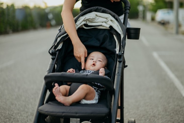 Alamat Persewaan Stroller di Bali yang Paling Recommended Lengkap Dengan Alamat Lokasi, Nomor Kontak, dan Harganya