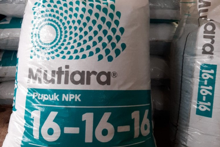 Harga Pupuk NPK Mutiara 50 Kg Tahun 2023 Terupdate, Bikin Tanaman Tumbuh Subur Bye Bye Hama 