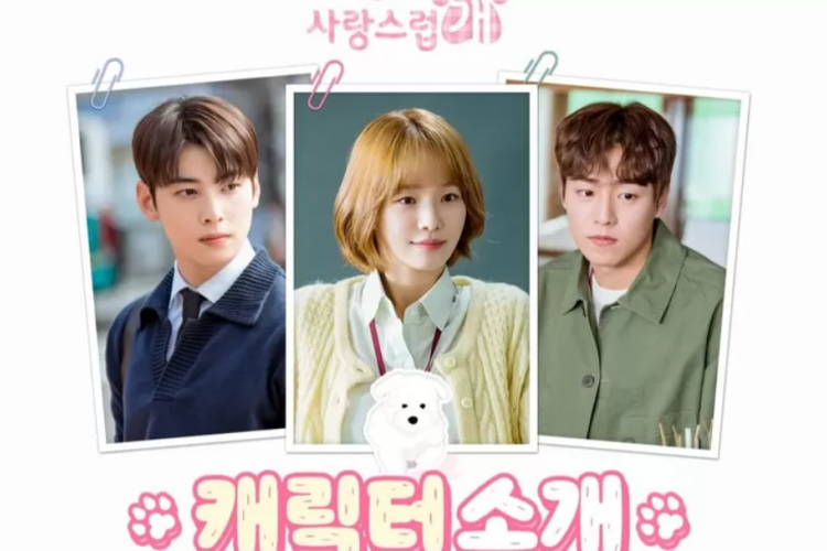 Nonton Drama Korea A Good Day to Be a Dog (2023) SUB INDO Full Episode 1-14: Kisah Reinkarnasi Anjing Imut Menggemaskan!