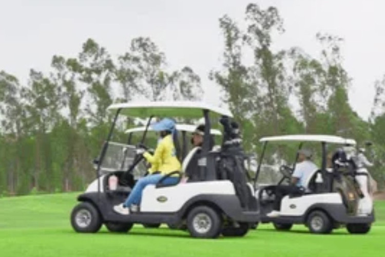 Di Tengah Ekonomi Sulit, Anggaran Rp4,1 Miliar untuk Mobil Golf di 4 Kementerian Jadi Sorotan
