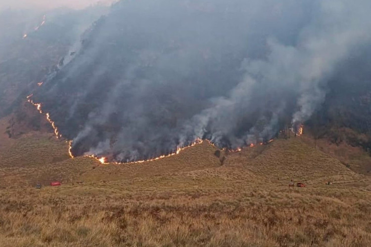 Penyebab Kebakaran Hutan Gunung Bromo Meluas Hingga Savana, 3 Titik Lokasi Ini Ditutup Sementara!