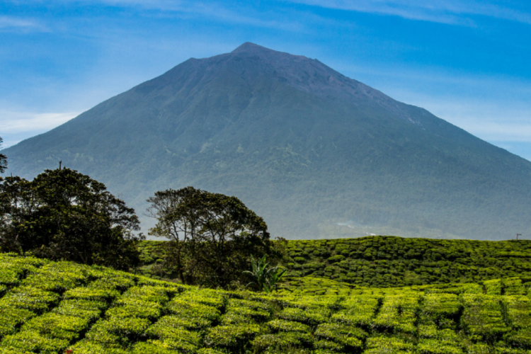 Gunung Kerinci, Jadi Gunung Tertinggi di Pulau Sumatera dengan Keindahan Alam Nan Eksotis