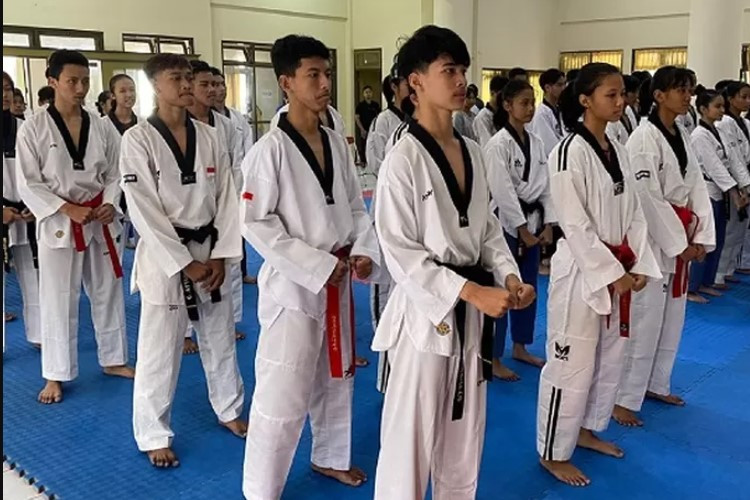 Cara Melakukan Gerakan Taekwondo yang Benar, Jangan Otodidak Mending Belajar Ke Ahlinya