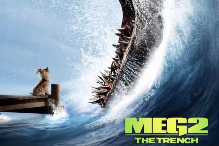 Sinopsis Film The Meg 2: The Trench (2023) Jason Statham dan Para Peneliti Nekat Sanjangi Palung Mariana Untuk Tangkap Hiu 