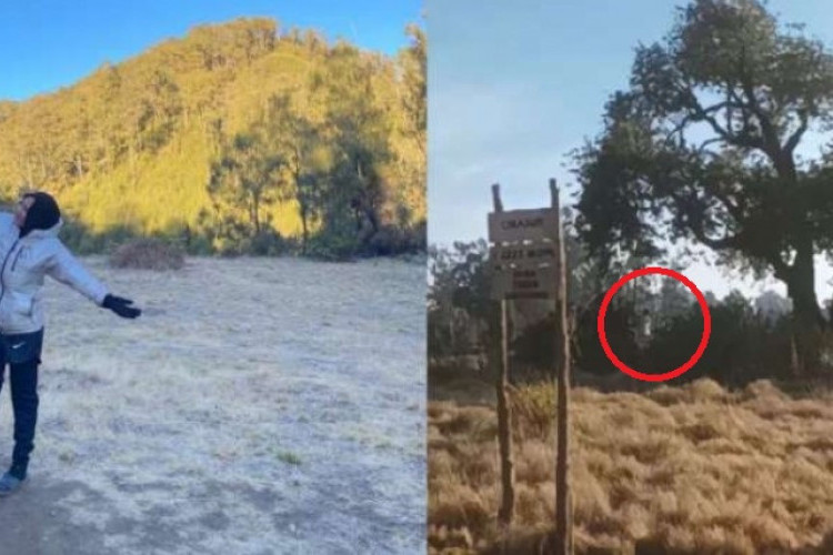 Viral di Tiktok, Pendaki ini Bagikan Kisah Horror di Gunung Argopuro, Penampakan Hantu Noni Belanda Tertangkap Kamera