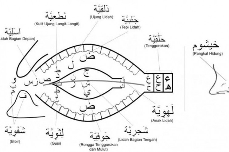 Mengenal Makhorijul Huruf: Pengertian, Jenis-jenis, dan Cara Bacanya