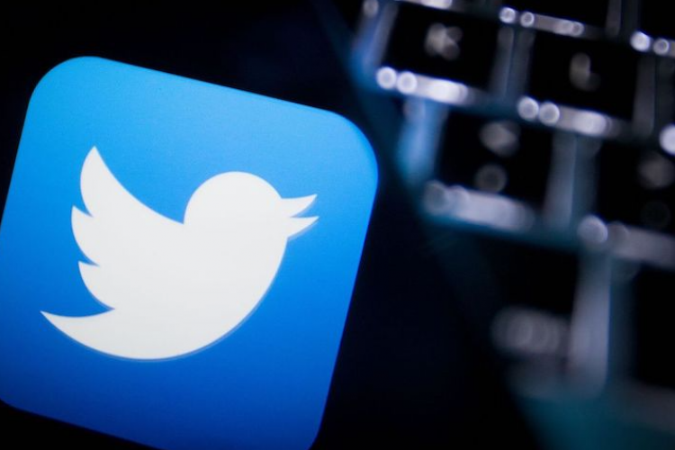 Perplexity AI Twitter Jadi Trending, Begini Cara Menggunakan dengan Mudah