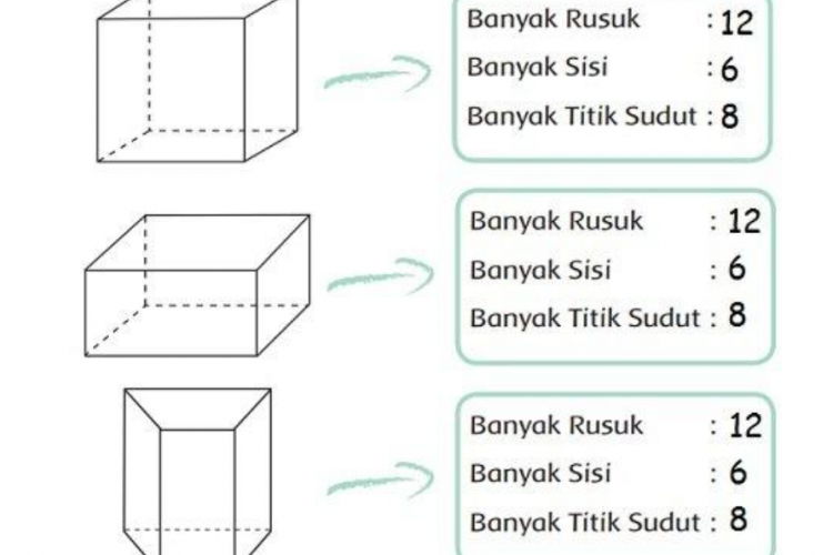 Soal Bangun Ruang Kelas 2 SD/MI Tema 4 Kurikulum Merdeka Tahun Ajaran 2022/2023 dan Kunci Jawabannya, Untuk Latihan Ulangan Harian