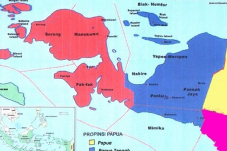 8 Daftar Daerah yang Masuk Pemekaran Wilayah Papua Terbaru, Cek Apakah Wilayahmu Juga Termasuk 