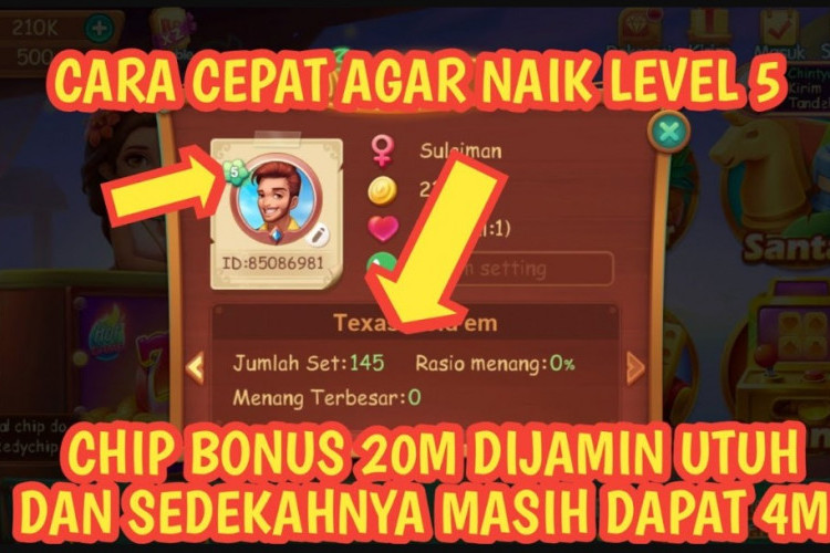 Trik Hack Naik Level Higgs Domino dengan Cepat, Bisa Langsung Naik Hingga Level 6