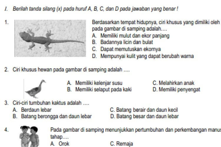 15 Contoh Soal IPA Kelas 6  SD/MI Semester 2 Tahun 2023 Pilihan Ganda dan Essay Lengkap Dengan Kunci Jawabannya 