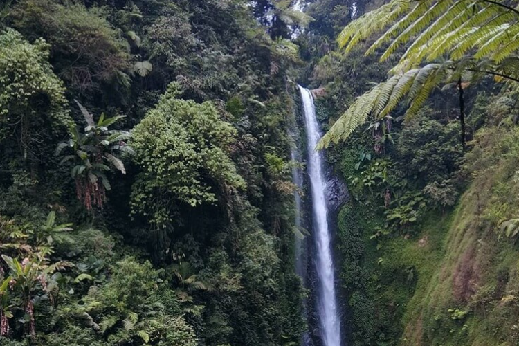 Mitos Curug Cantel Tegal, Dipercaya Bisa Bikin Jomblo Enteng Jodoh dan Mempererat Hubungan Pasangan yang Datang 