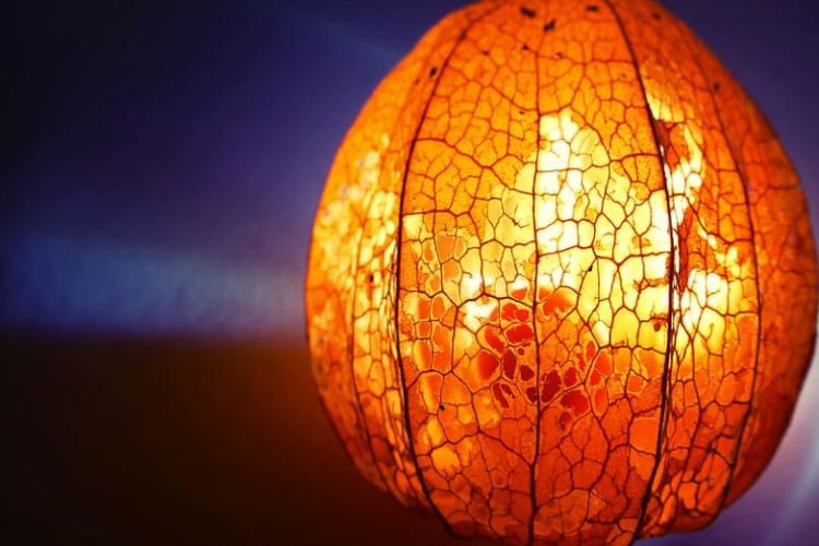 Cara Membuat Lampion Takbiran Paling Mudah dan Praktis, Rayakan Hari Kemenangan Jadi Makin Meriah