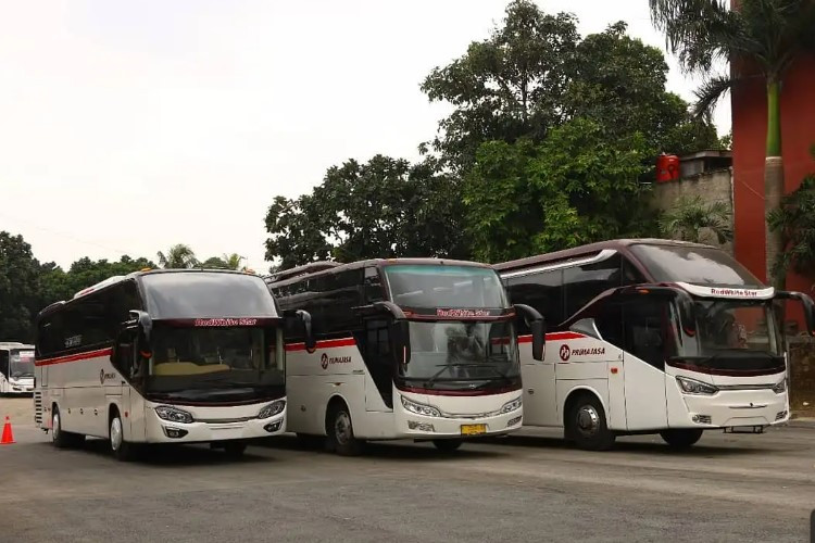 Daftar Agen Bus Purwokerto yang Paling Recommended, Pesan Tiket Langsung WA Aja 