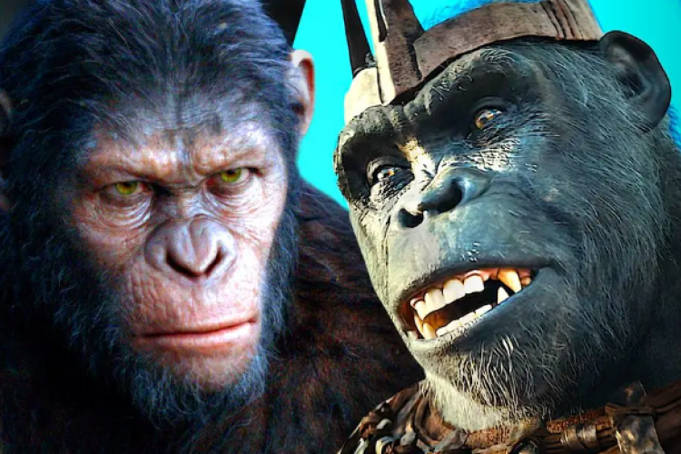 Sinopsis Kingdom of the of the Apes (2024) dan Link Nonton Sub