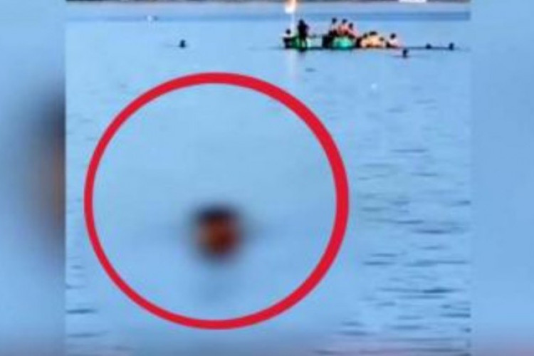 Viral! Link Video Pasangan Mesum di Pantai Mattirotasi Parepare Full Video No Sensor, Dunia Serasa Milik Berdua!