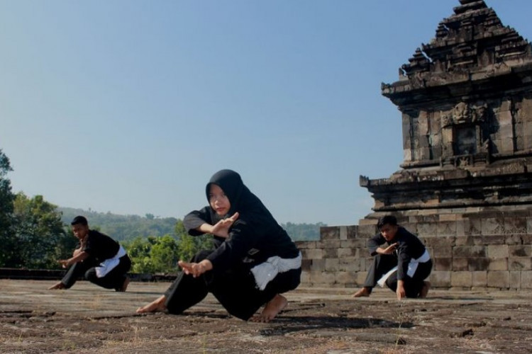 Gambar Gerakan PSHT Pemula, Dari Gambar Pasang 1 Sampai 20 Untuk Latihan