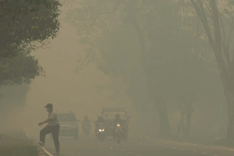 Penyebab Kabut Asap Tebal di Samarinda Masih Belum Diketahui, Warga di Imbau Untuk Tetap Waspada