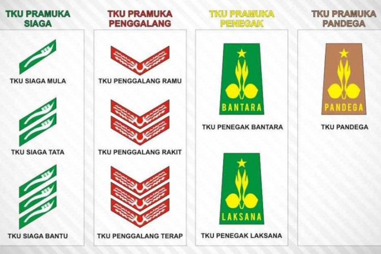 Mengenal 4 Tingkatan Golongan Pramuka, Beserta Pengertian dan Tugasnya Lengkap