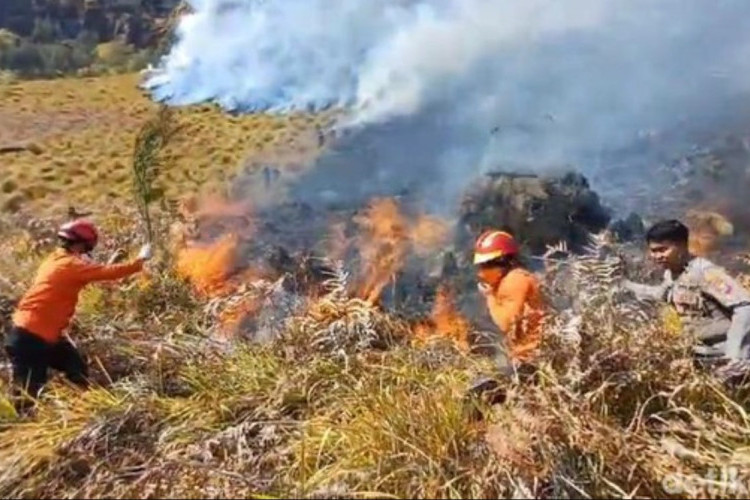 Kebakaran Bromo Meluas Lebih Dari 80 Hektar, Akses Wisata Ditutup Hingga Lautan Pasir Dibatasi Pengunjung!