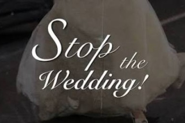 Arti Makna Tren 'Stop The Wedding' yang Sedang Ramai Digunakan Perempuan Untuk Suarakan Penolakan Hubungan Toxic