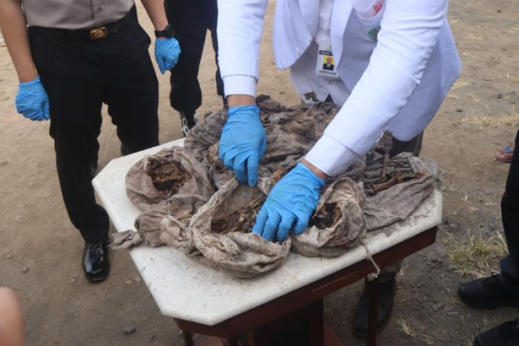 HEBOH! Ditemukan Puluhan ‘Pocong Bayi di Magelang, Polisi Tegaskan Berisi Kerangka Hewan