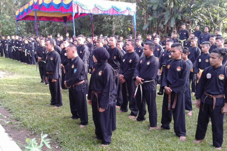 Kumpulan Kata-kata Mutiara PSHT Penuh Makna Inspiratif, Bisa untuk Penyemangat Hidup