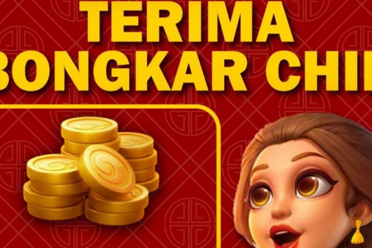 Agen Bongkar Chip Hinggs Domino 24 Jam, Hubungi Kontaknya dan Dapatkan Banyak Keuntungan!