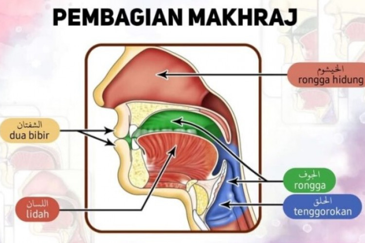 Contoh Soal Materi Makhorijul Huruf, Tempat Keluarnya Huruf-huruf Hijaiyah