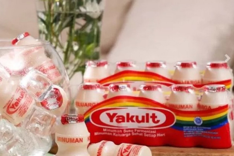 10 Manfaat Yakult Untuk Kesehatan , Tingkatkan Kekebalan Tubuh hingga Menyokong Kesehatan Jantung