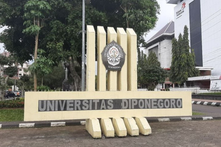 Daftar Jurusan Sepi Peminat Universitas Diponegoro 2023, Bisa Jadi Referensi Program Studi Pilihan