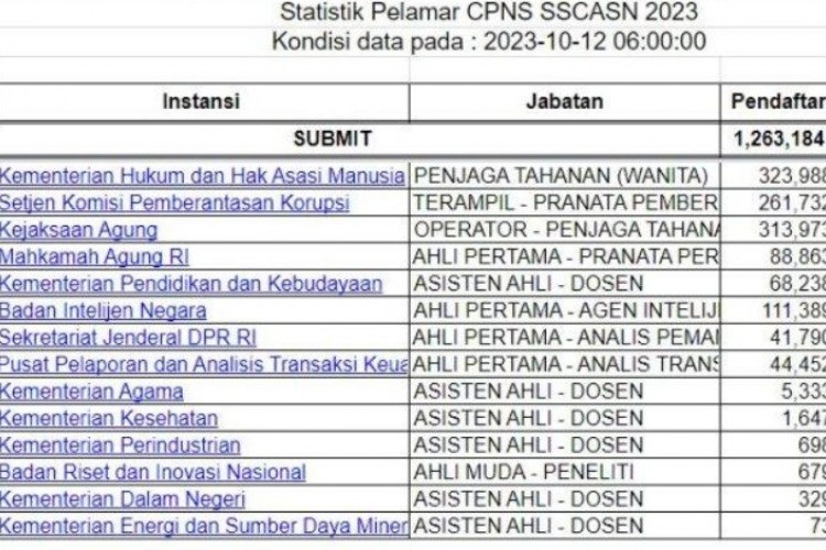 Jumlah Pendaftar CPNS 2023 dan PPPK Terbaru, Sainganmu Ada Ratusan Ribu Orang!