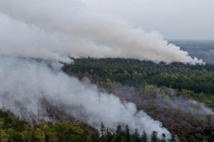 Status Darurat Karhutla Kalimantan: Lahan Gambut Terbakar, Asap Pekat Meluas hingga Puluhan Ribu Warga Terserang Infeksi ISPA