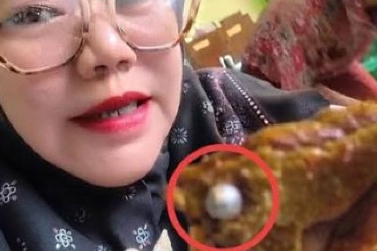 Temuan Peluru Senapan Angin Kantor Pelayanan Pemenuhan Gizi Bekukan Sementara Operasional Dapur Satuan Pelayanan Sindangsari